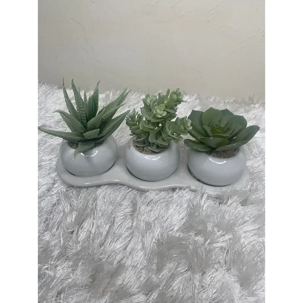 Faux Succulent Three Plant Modern Planter 3 x 9
